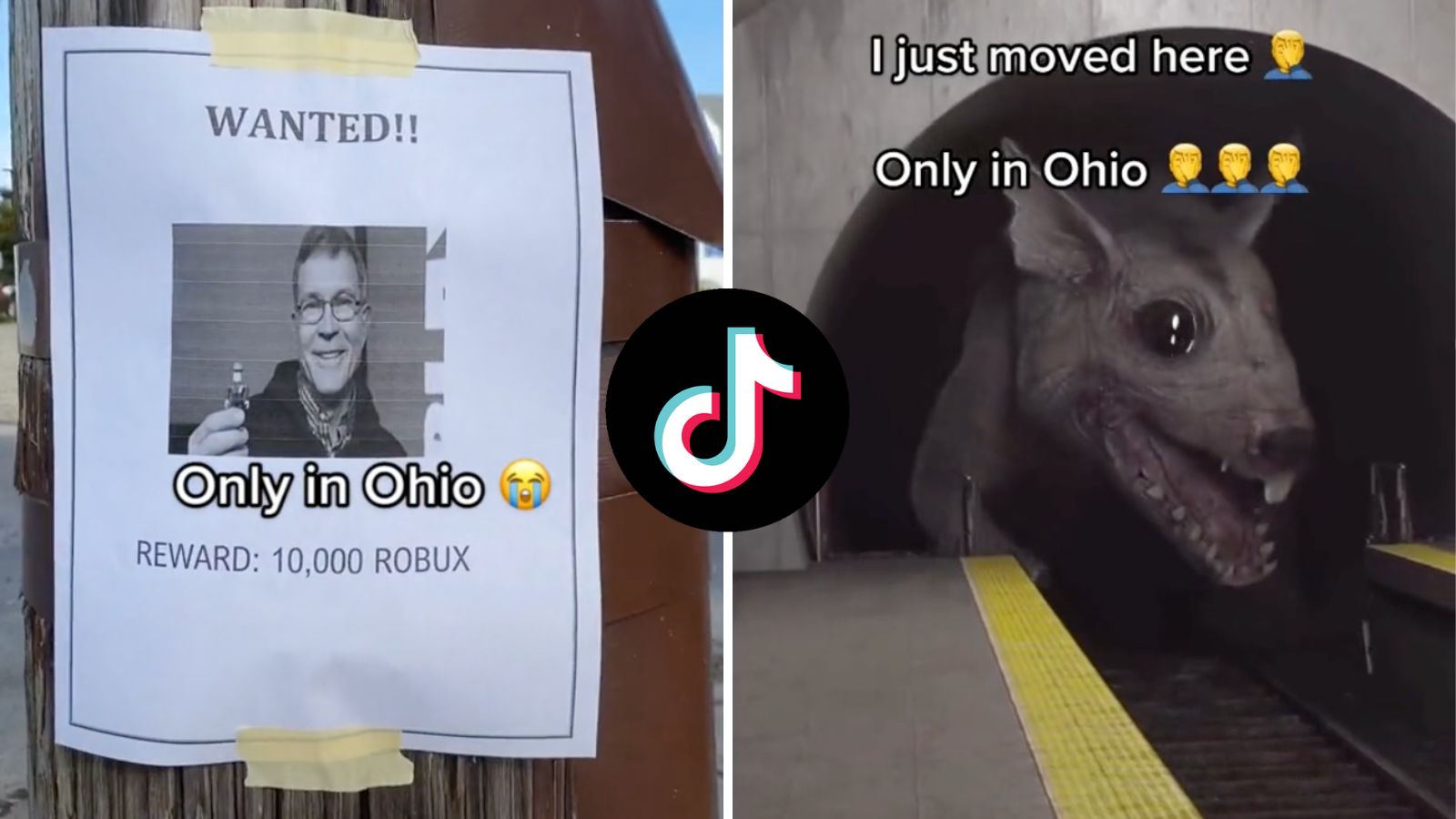 What is the Ohio joke on TikTok? Dexerto