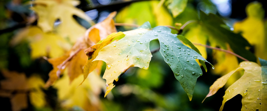 Cosa Fare A Bormio Quando Piove Eppure Sono In Viaggio
