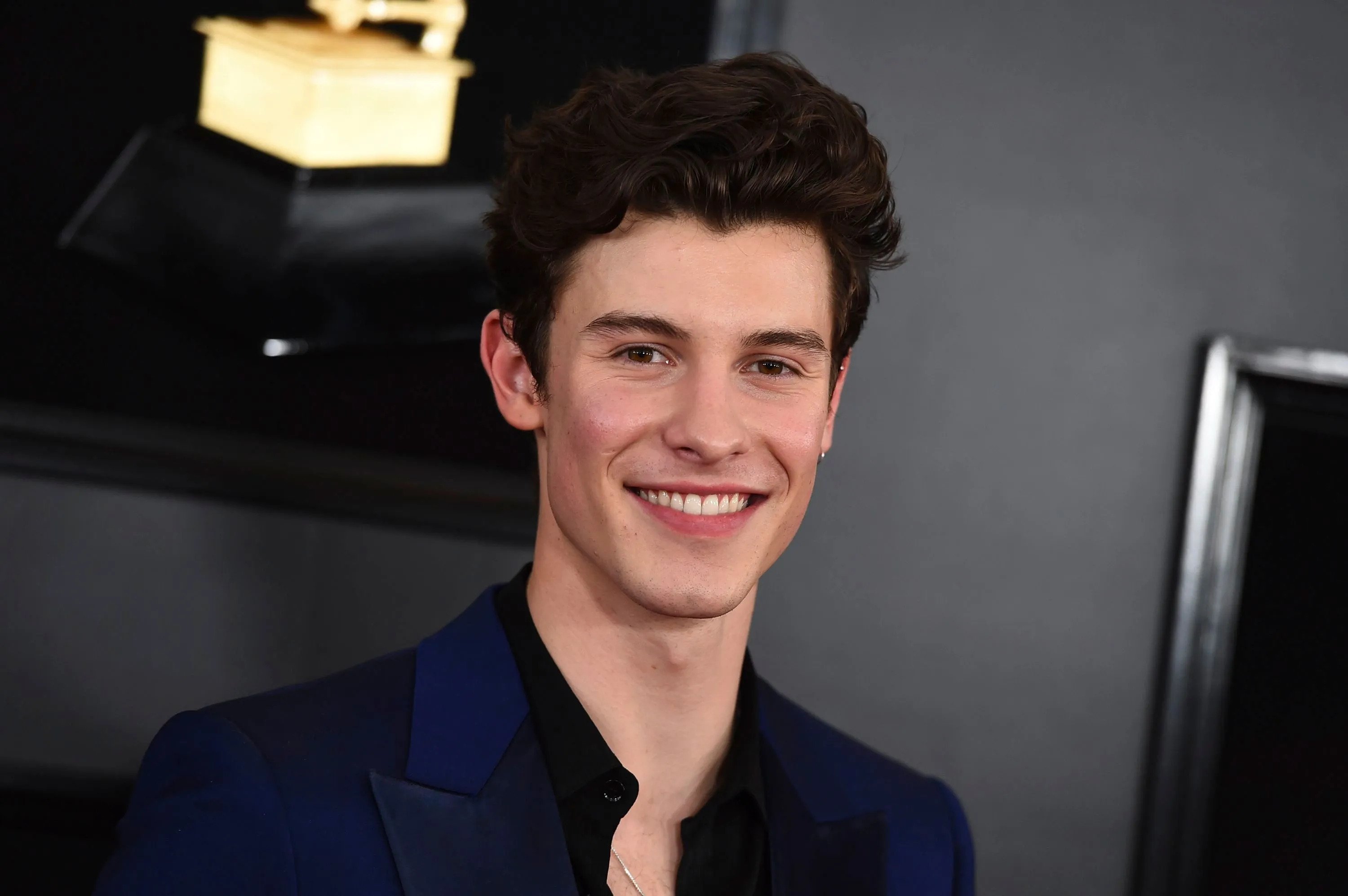 32 Facts about Shawn Mendes