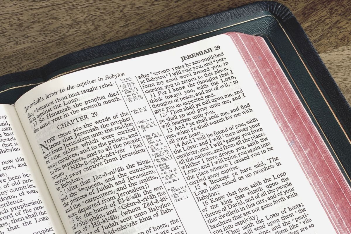 The Longest Verse in the Bible and Its Context FaithGiant