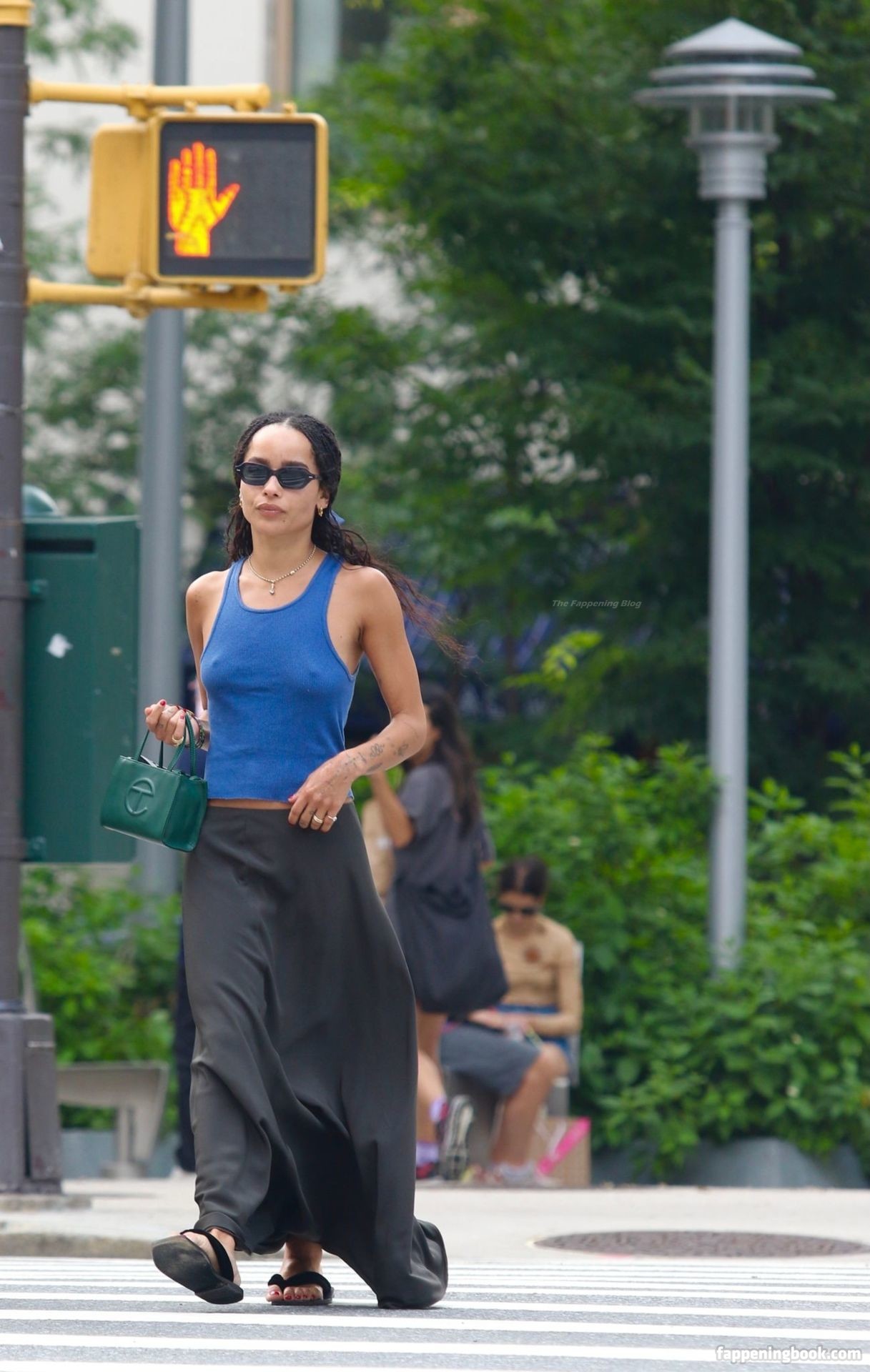 Zoë Kravitz Nude, The Fappening Photo 1383585 FappeningBook