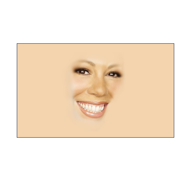 Mariah Carey Meme 3x5 Standard Flag USA Made