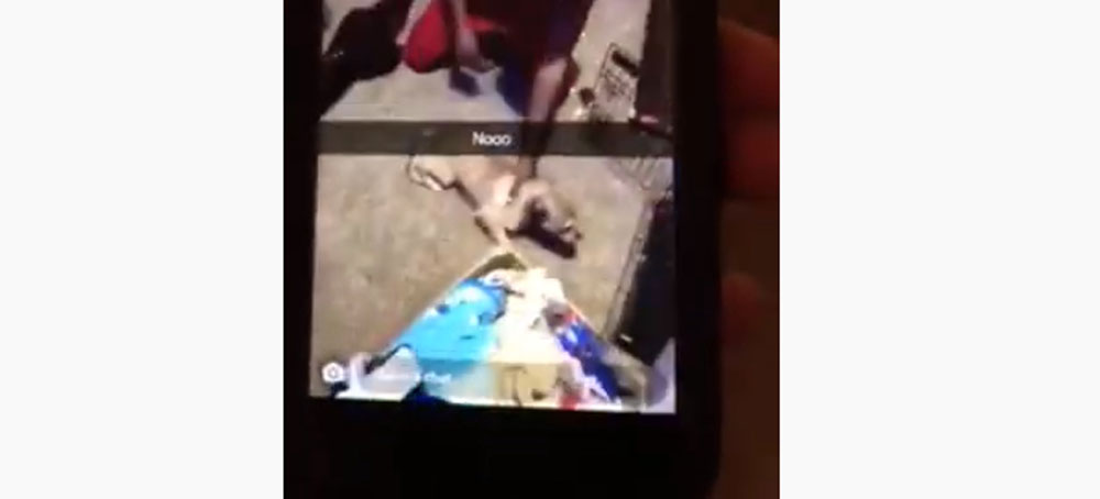 Animal Cruelty Charge For 16 Year Old Filmed Beating Small Dog In Snapchat Clips Flaglerlive