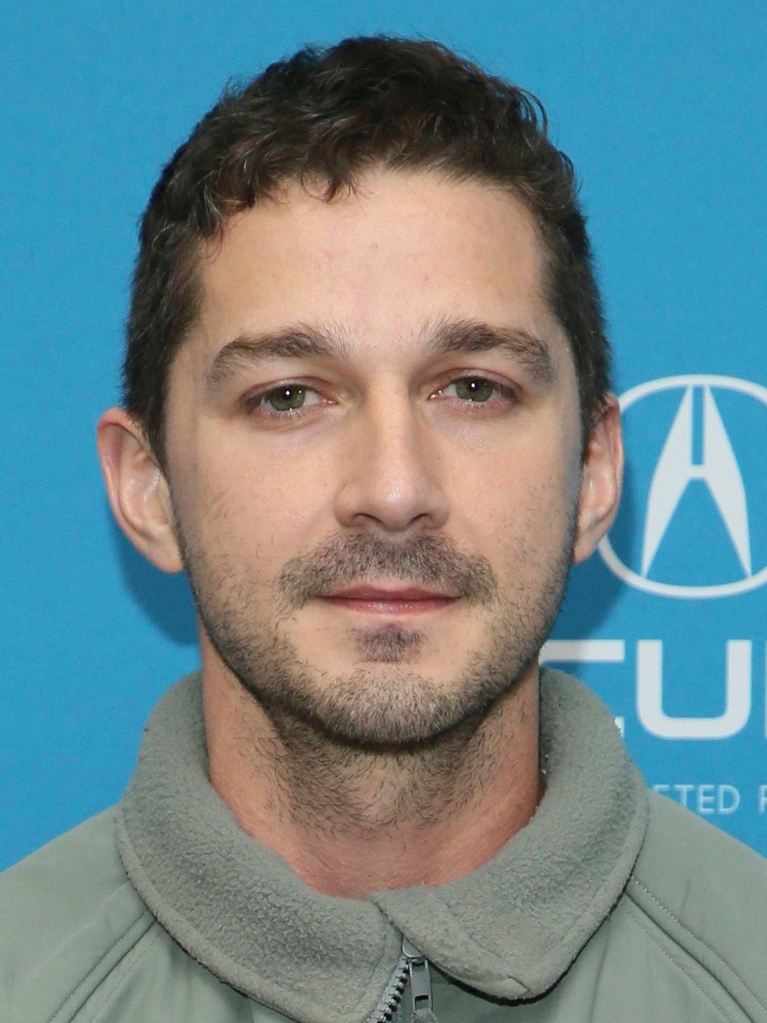 Shia LaBeouf Pictures Rotten Tomatoes