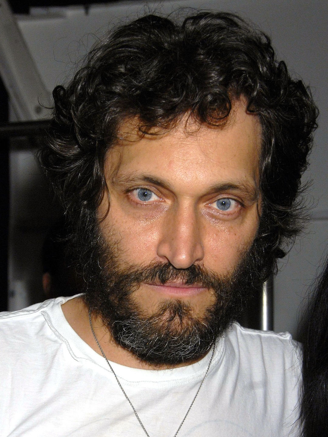 Vincent Gallo Pictures Rotten Tomatoes