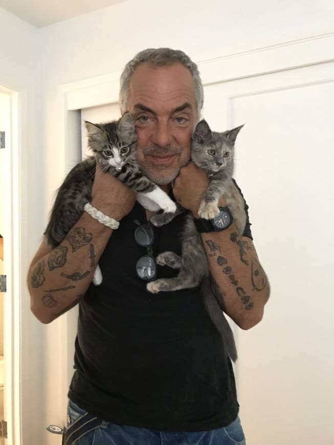 The Most Interesting Titus Welliver tattoos Foreign Policy