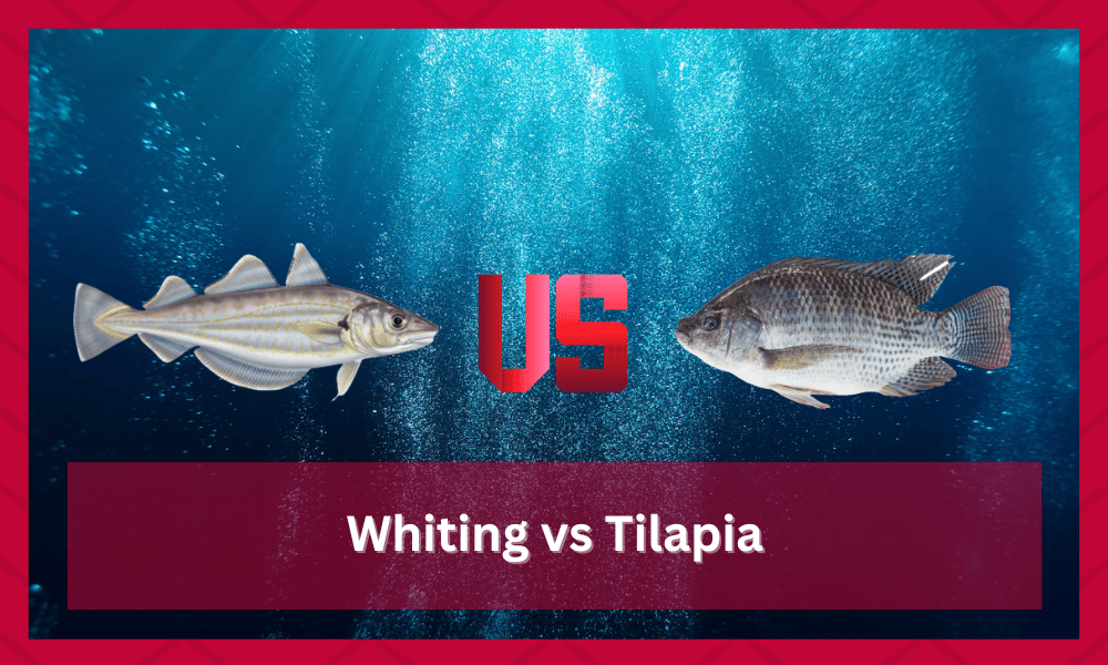 Whiting vs Tilapia Comparison (All The Important Differences) FuncFish