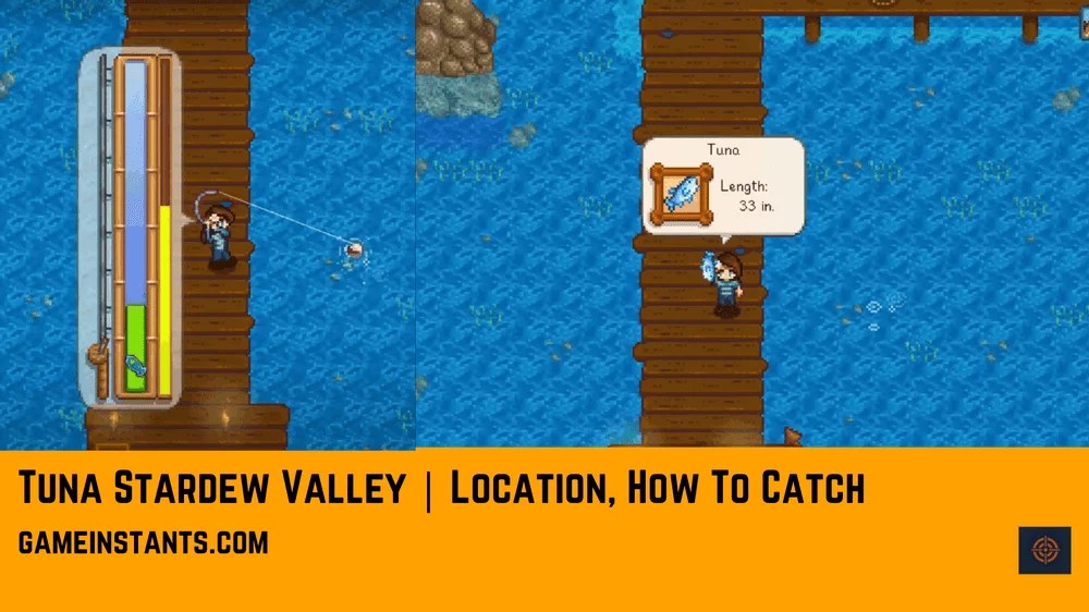 Tuna Stardew Valley Location, How To Catch Gameinstants