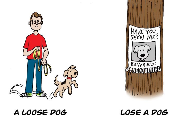 Word Fact Lose Vs Loose