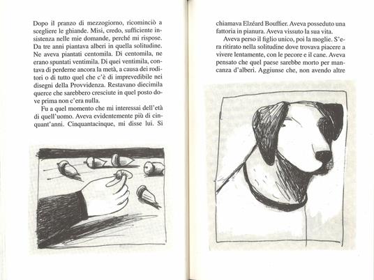 L Uomo Che Piantava Gli Alberi Edizioni Film Riassunto E Scheda Didattica