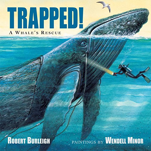 Children's Books About Whales