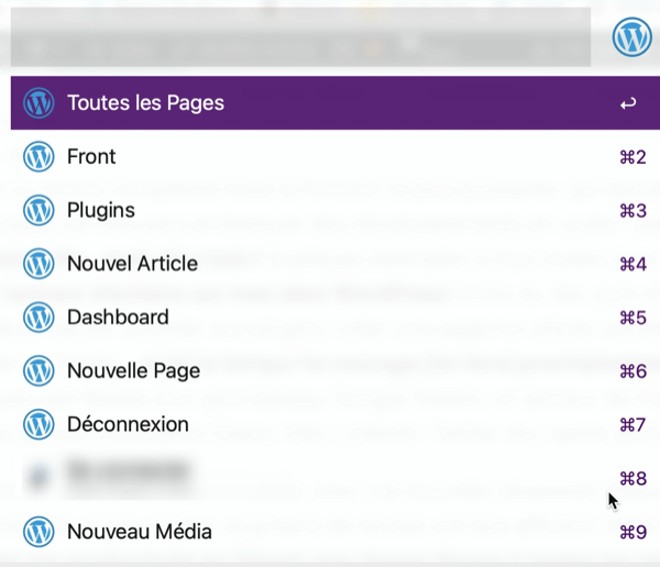 Workflow WordPress par Guillaume d'Ardier