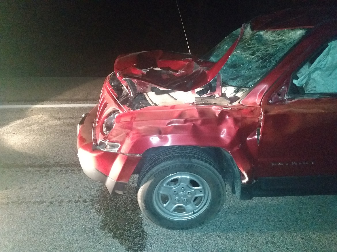 Moose involved car accident, passengers survive Bonners Ferry Herald