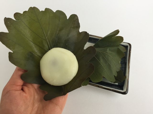 柏餅の葉っぱは食べる 食べない 葉っぱの作り方や代用品について 柏餅の葉っぱは食べる 食べない 葉っぱの作り方や代用品について