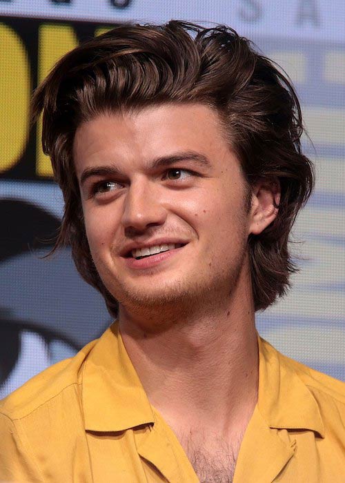 Joe Keery Height Weight Body Statistics Biography Healthy Celeb