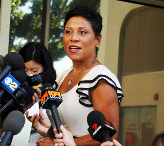 Shawn Holley, Lohan Lawyer Top 10 Facts You Need to Know