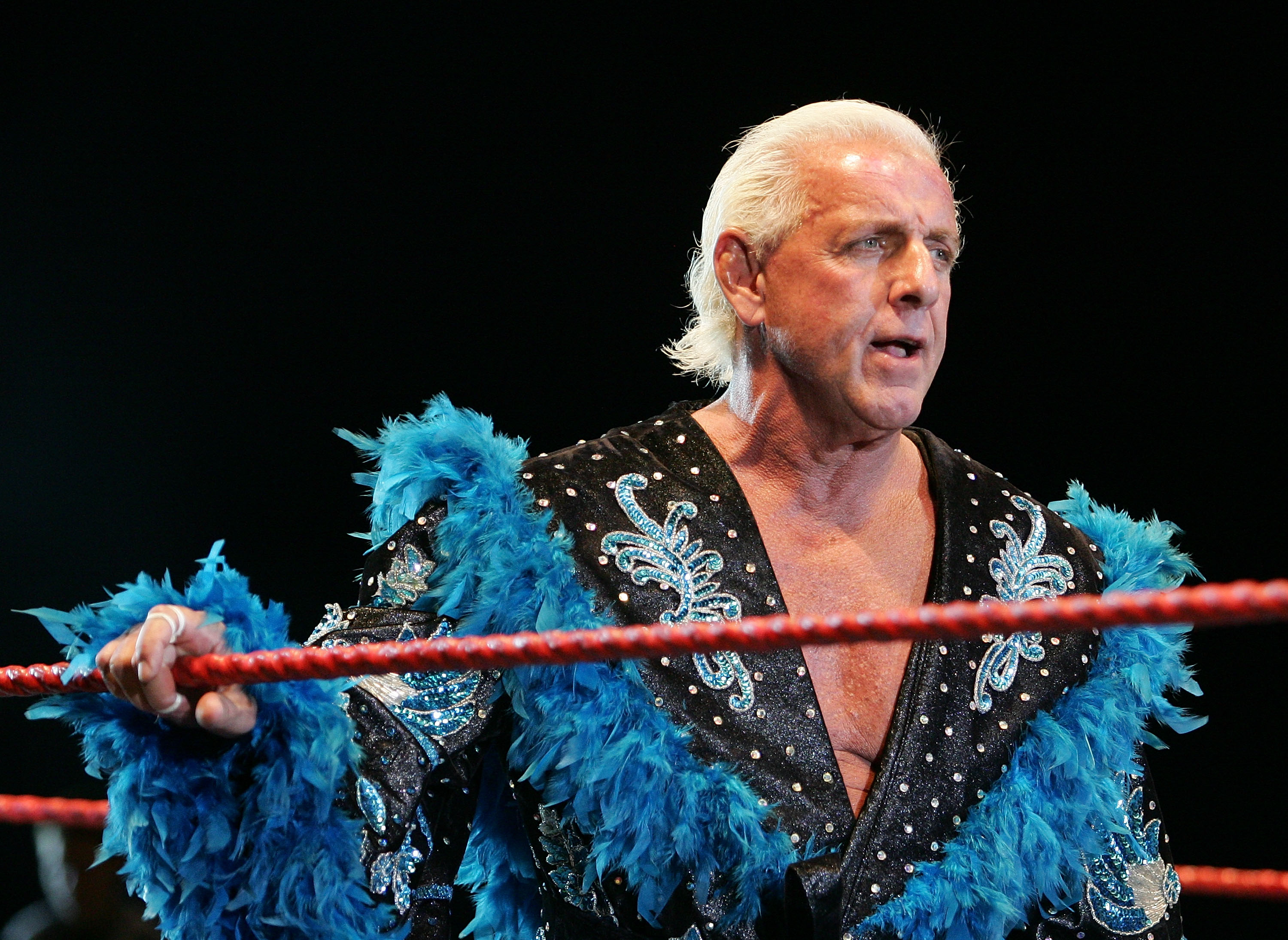 Ric Flair's Kids 5 Fast Facts You Need to Know