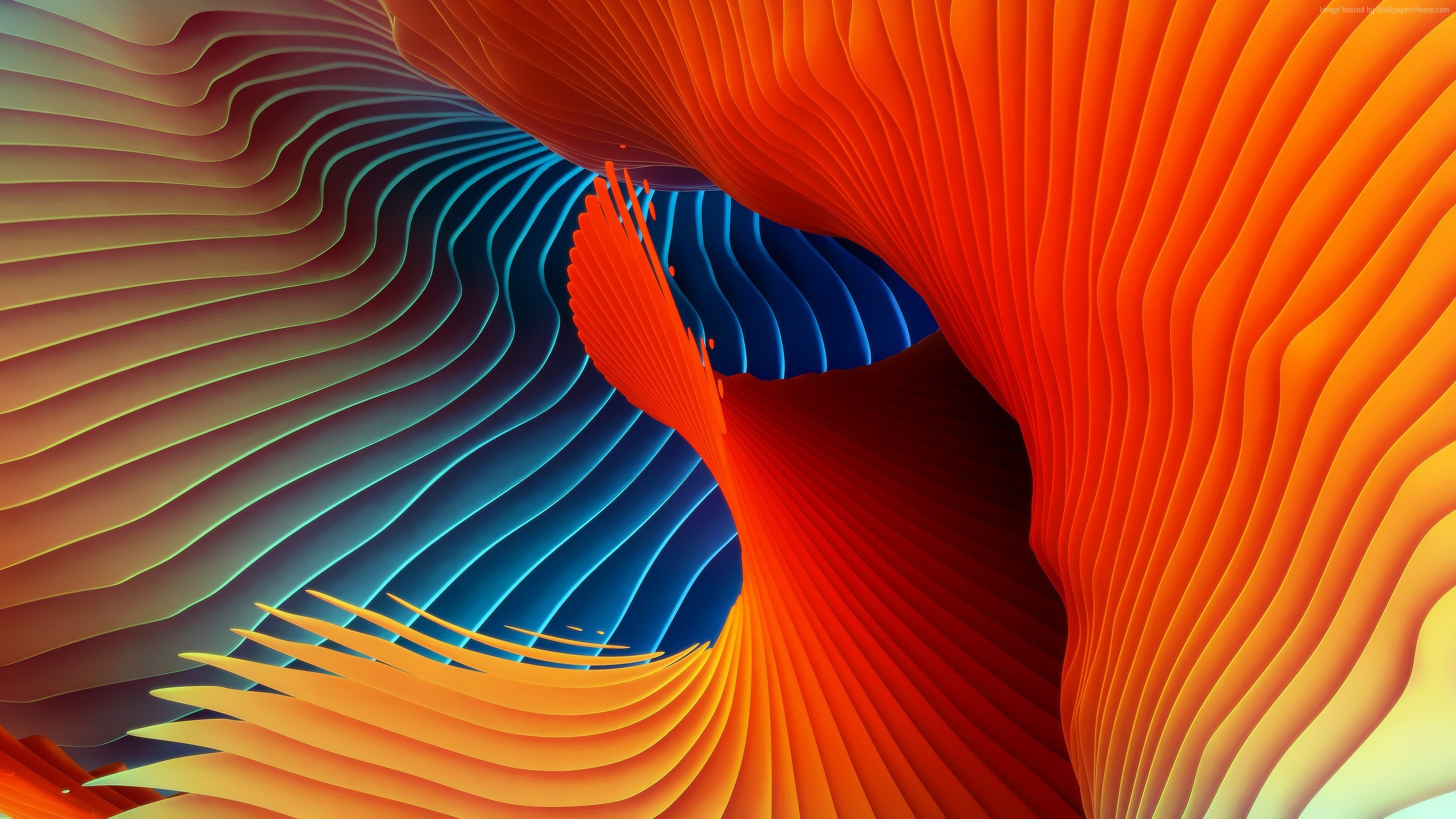 Die 60+ Besten 4K Hintergrundbilder für Apple