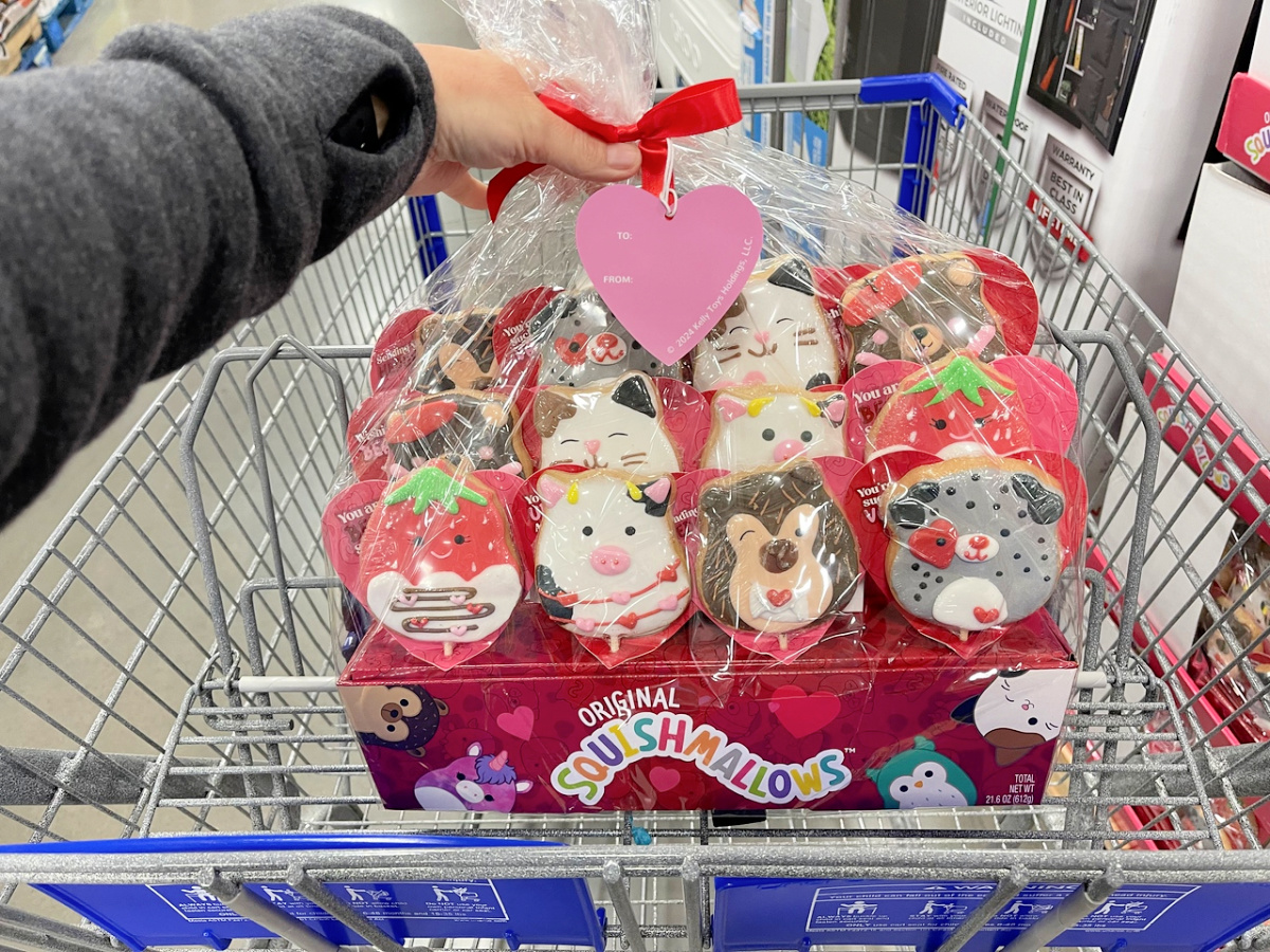 Squishmallows 12Count Valentine Cookie Bouquet Only 14.98 at Sam's