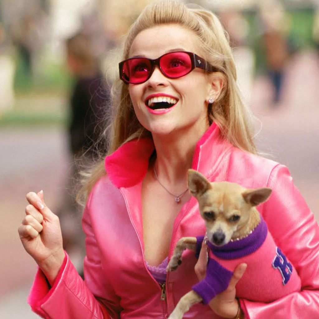 Bruiser Woods Has Died Reese Witherspoon Posts Tribute to Chihuahua