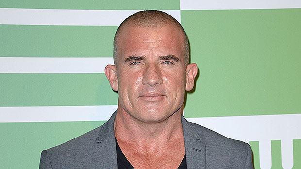 Who Is Dominic Purcell? — 5 Things To Know About Tish Cyrus’ Fiance