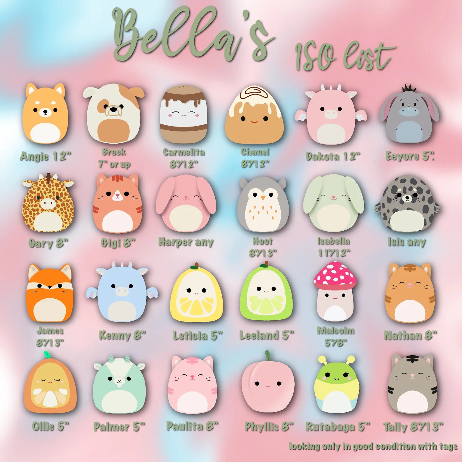 CUSTOM Squishmallows ISO/DISO list digital pdf download Etsy