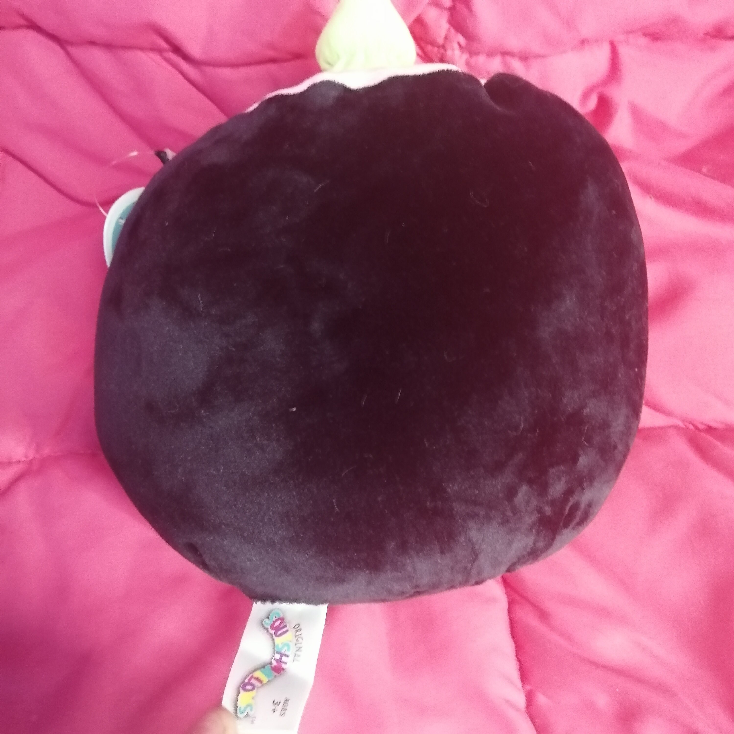 8 Zoll Food Squishmallow Shozo the Sushi 2021 Neu mit Etsy