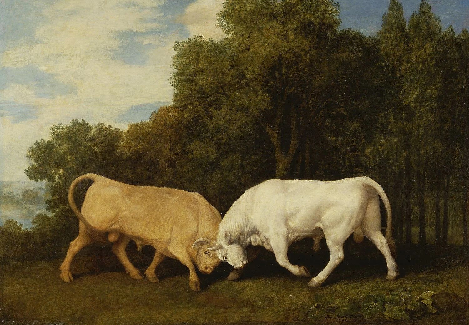 Taurus headbutting. BULLS FIGHTING by Stubbs. New Etsy