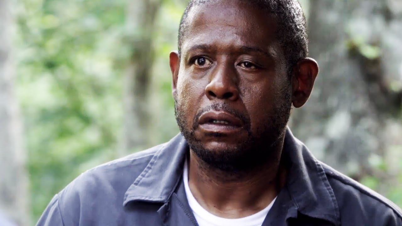 Forest Whitaker Eye Blank Template Imgflip