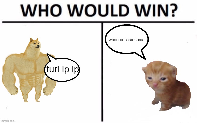 Who Would Win? Meme Imgflip