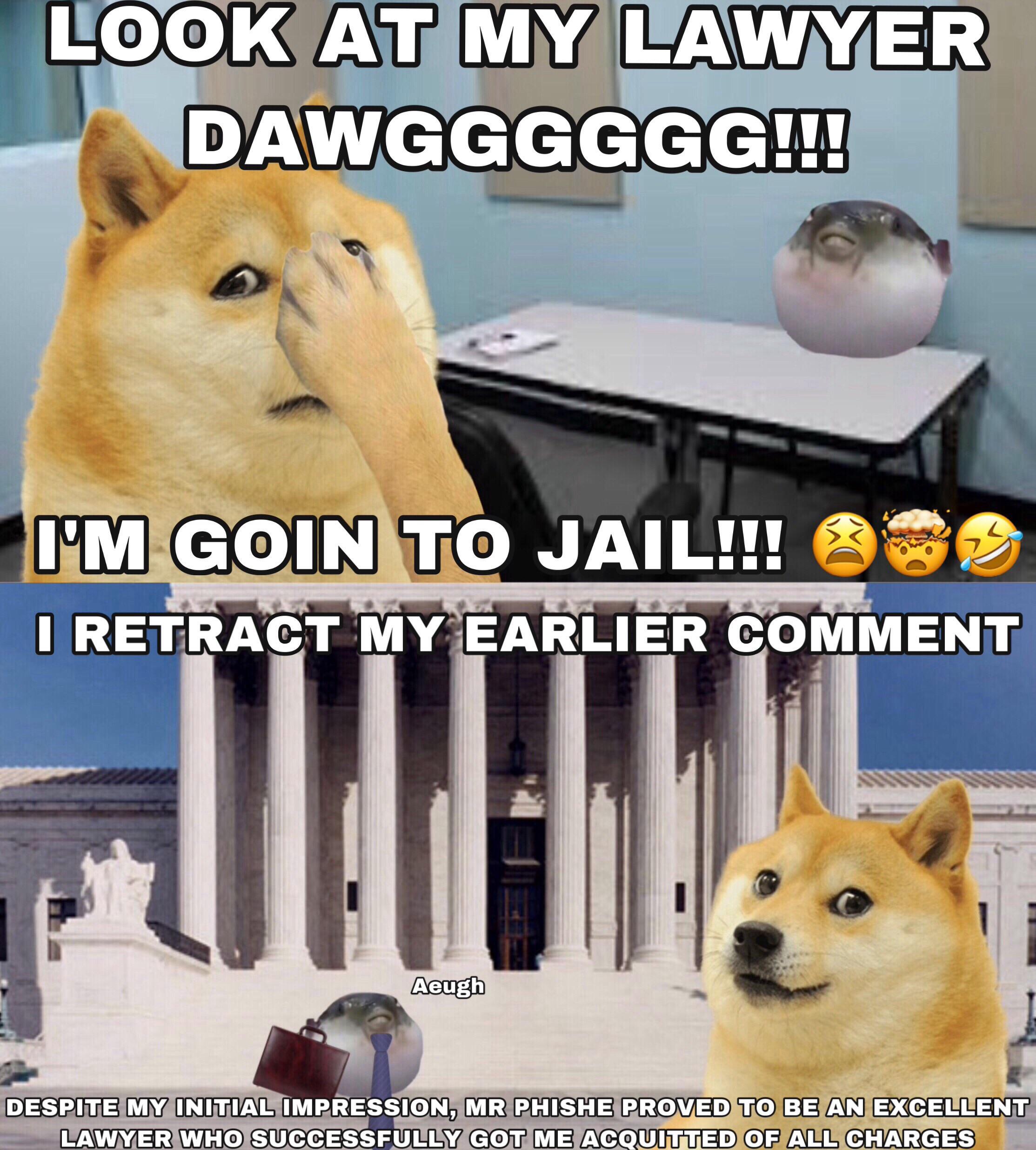 Doge Gets a Lawyer Look at My Lawyer, Dawg, I'm Going to Jail Know