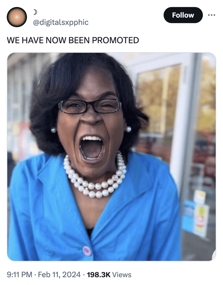 WE HAVE NOW BEEN PROMOTED You Have Been Promoted! You Are Now One of My Elite Employees