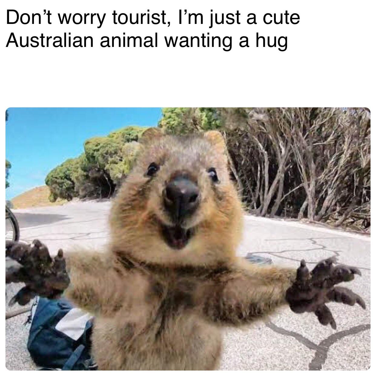 I just want a hug r/memes