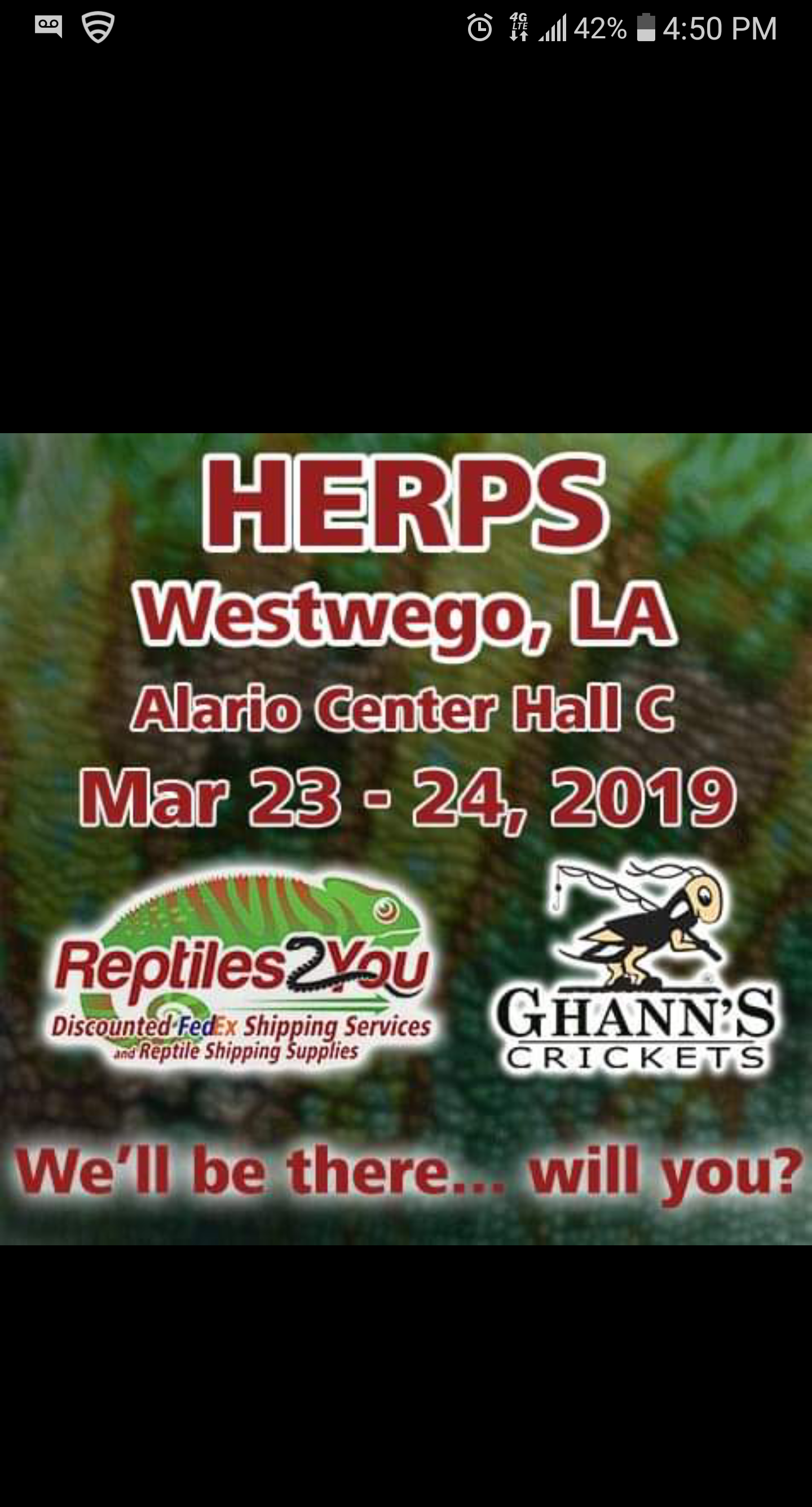 Herp's (exotic animal fair) NewOrleans