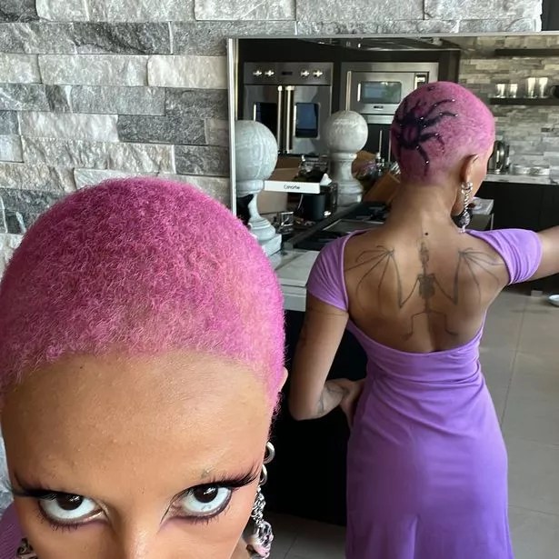 Doja Cat fans claim 'the devil has her' after bald spider hair