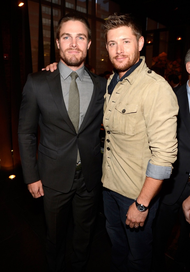 Picture of Stephen Amell