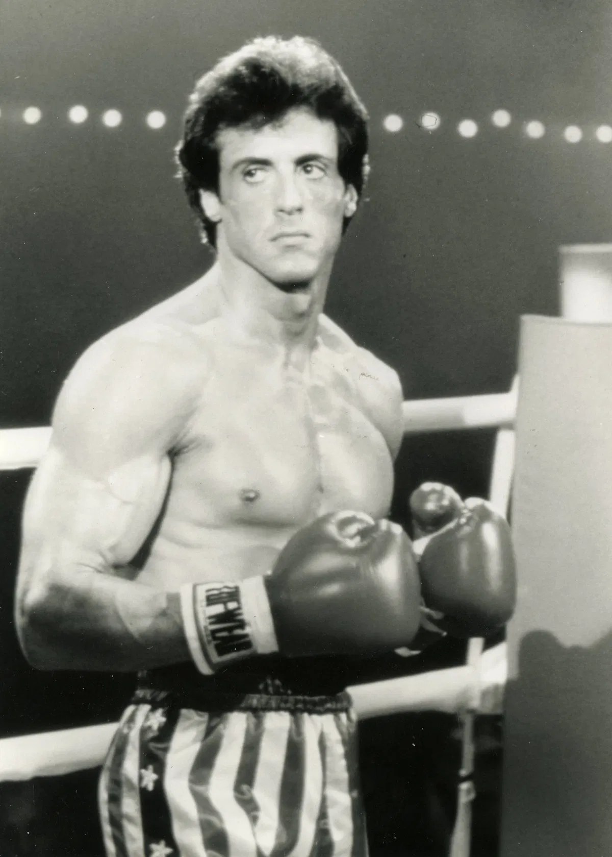 Did Sylvester Stallone Win an Oscar for ‘Rocky’? EssentiallySports