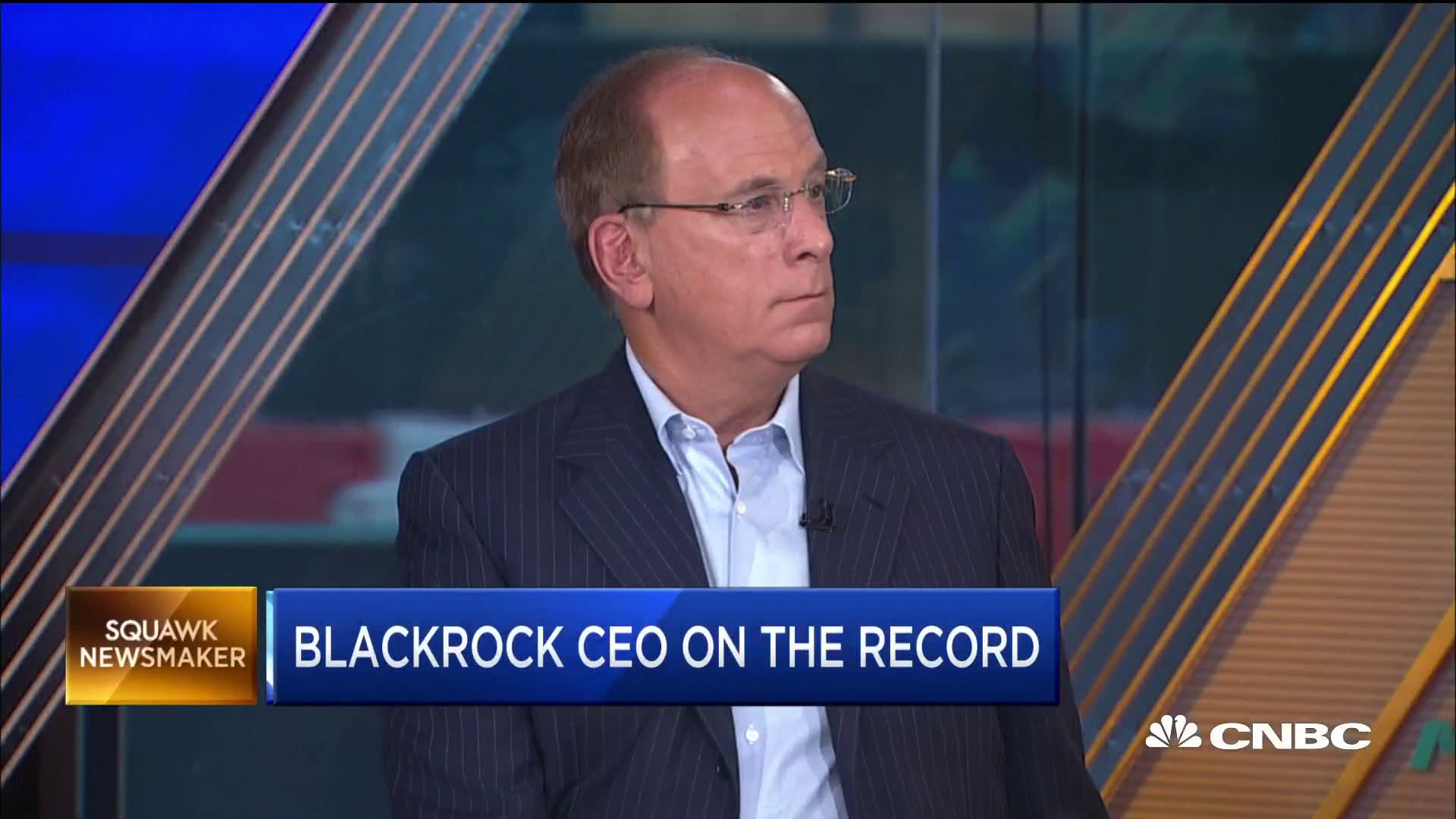 BlackRock CEO The US has a better equity culture than any other country