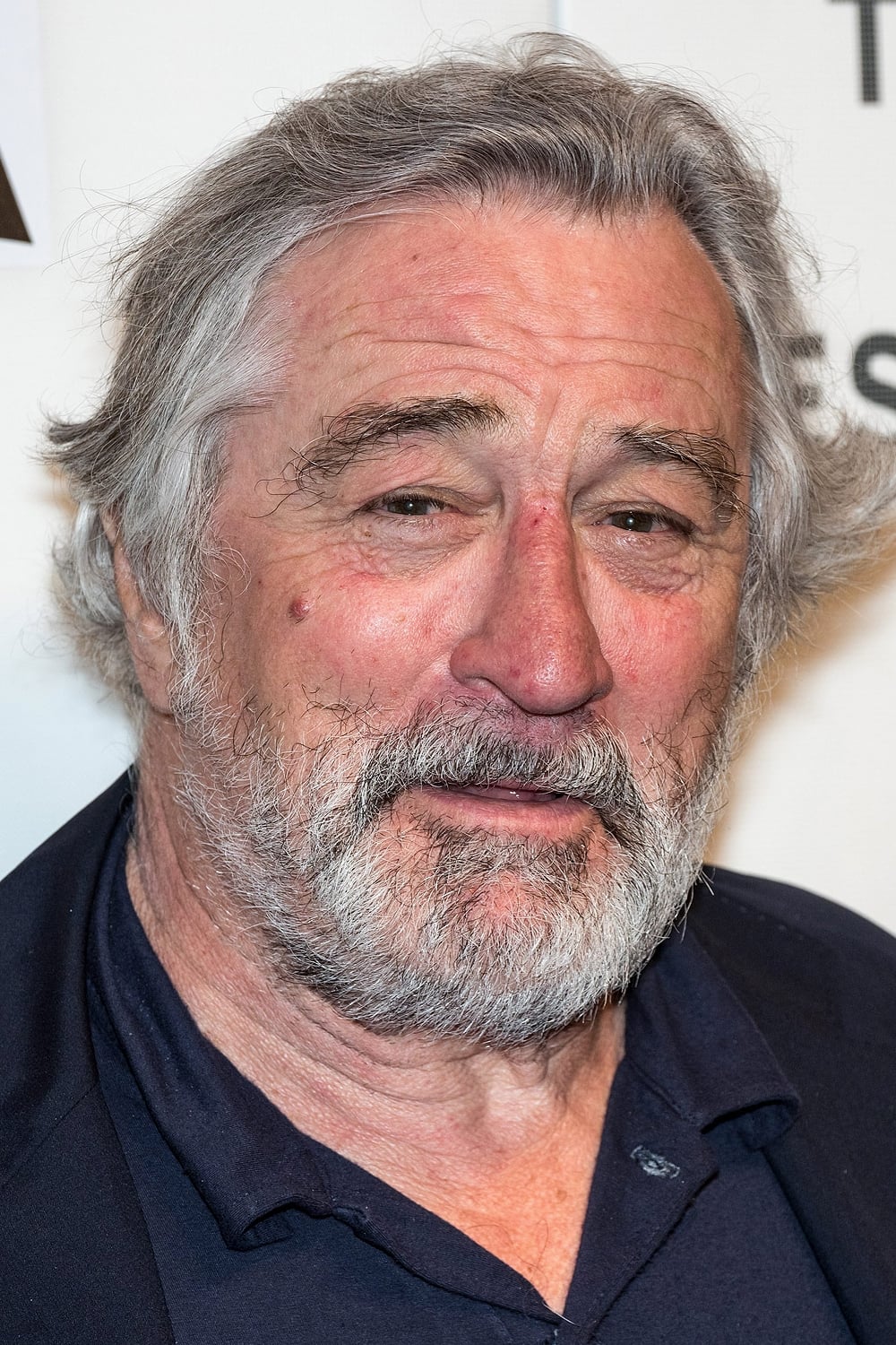 Robert De Niro Profile Images — The Movie Database (TMDb)