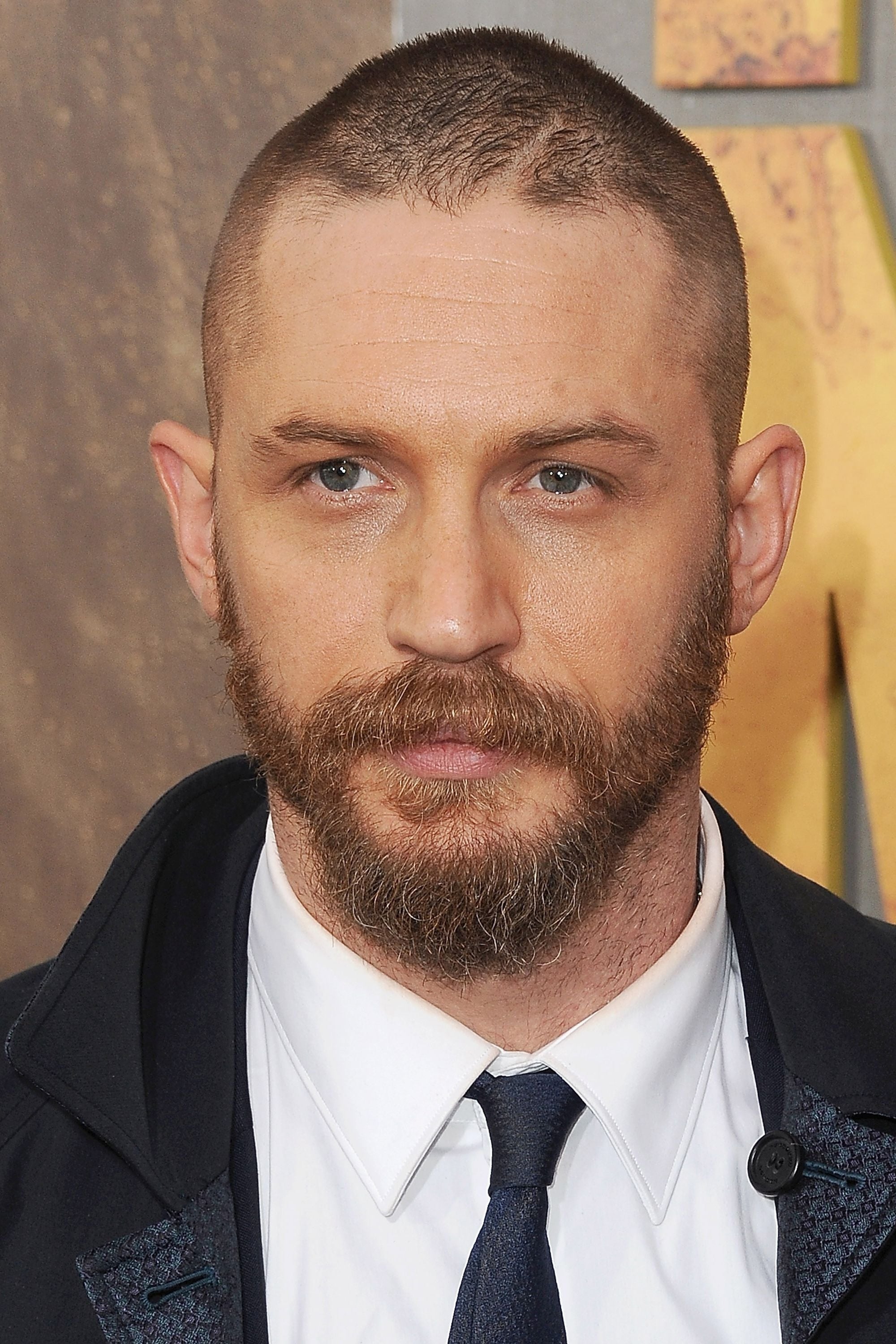 Tom Hardy (Biography)