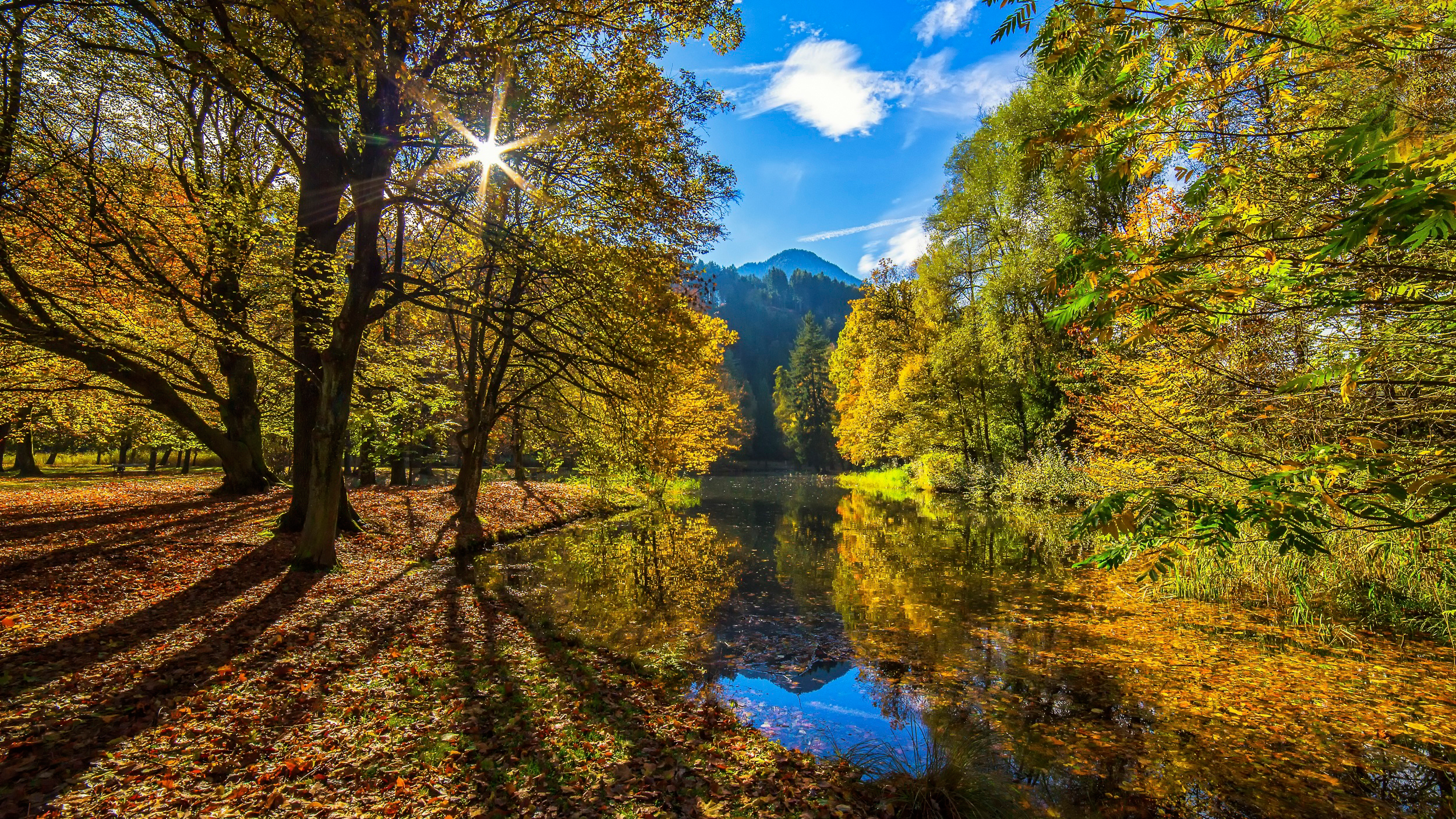 Autumn Sun HD Wallpaper Hintergrund 2500x1406 ID