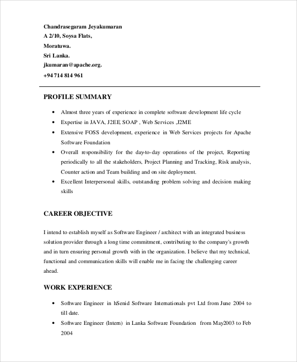 Profile Summary For Software Developer Example
