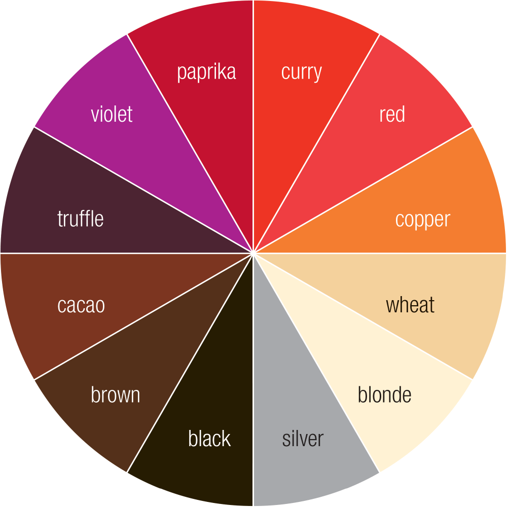 Color Conditioner — arteasecolors