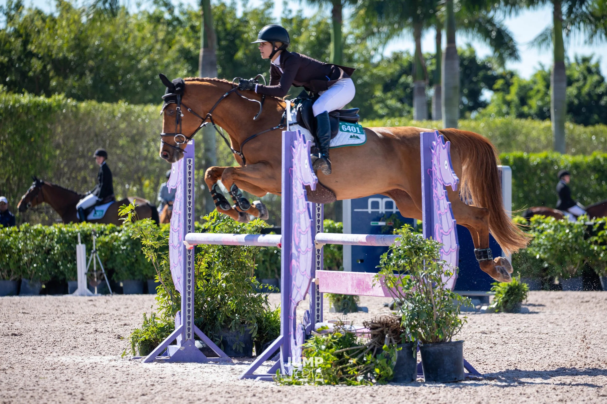 Winter Equestrian Festival Week 4 WrapUp January 29 February 2