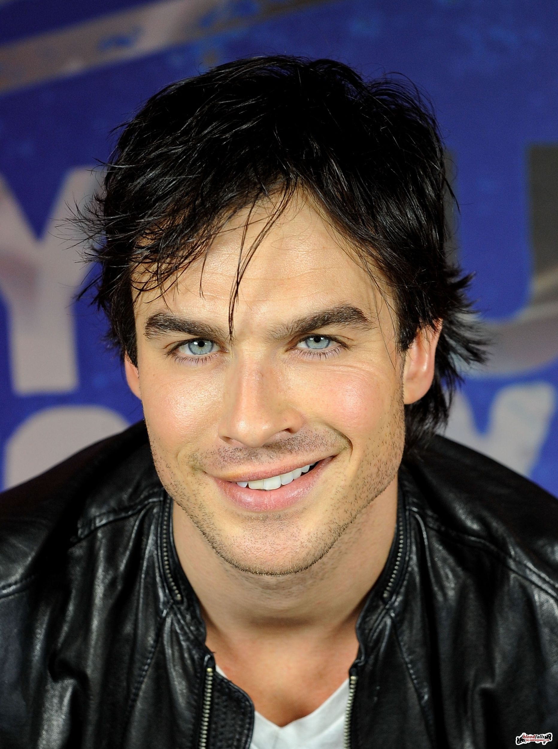 Damon Salvatore Damon Salvatore photo (34865017) fanpop