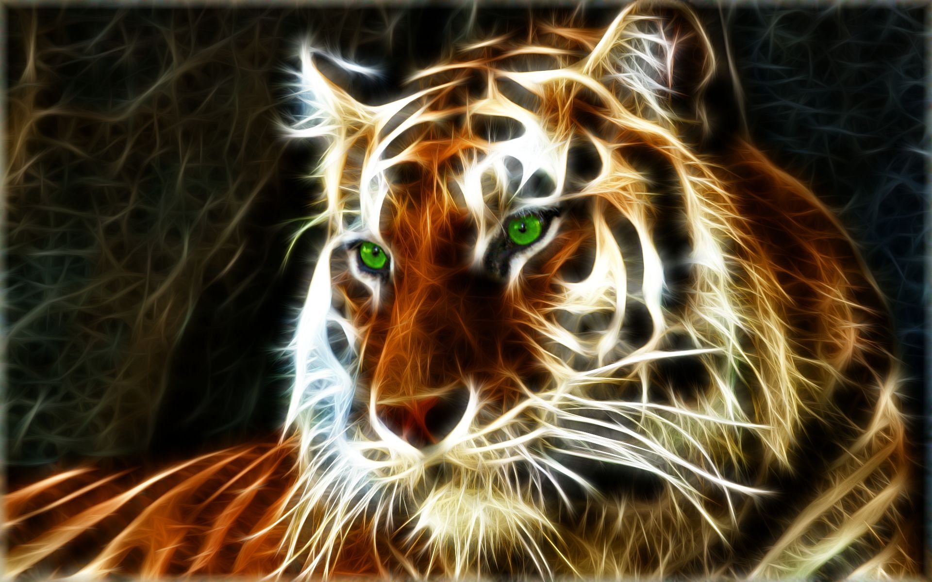 Tigre Full HD Fondo de Pantalla and Fondo de Escritorio 1920x1200