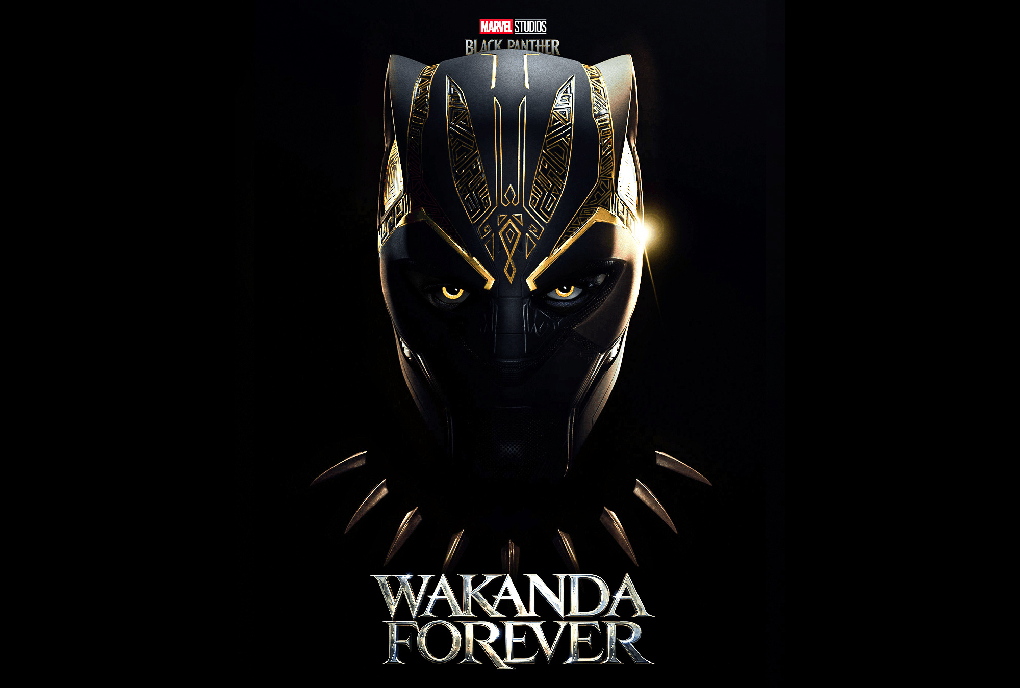 Movie Black Panther Wakanda Forever HD Wallpaper