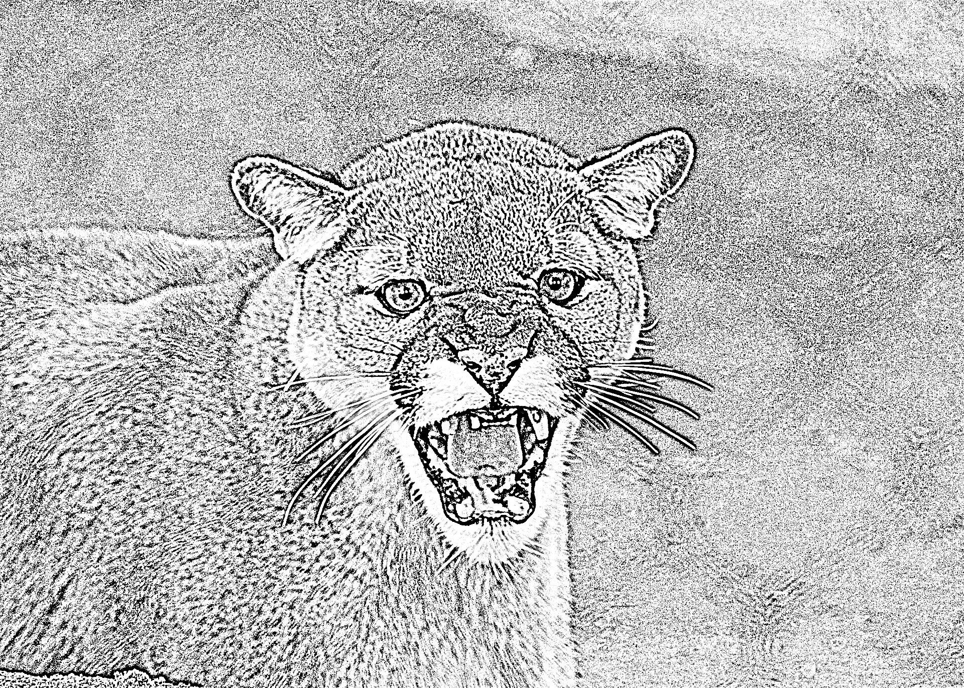 Cougar Town by This Is Victor
