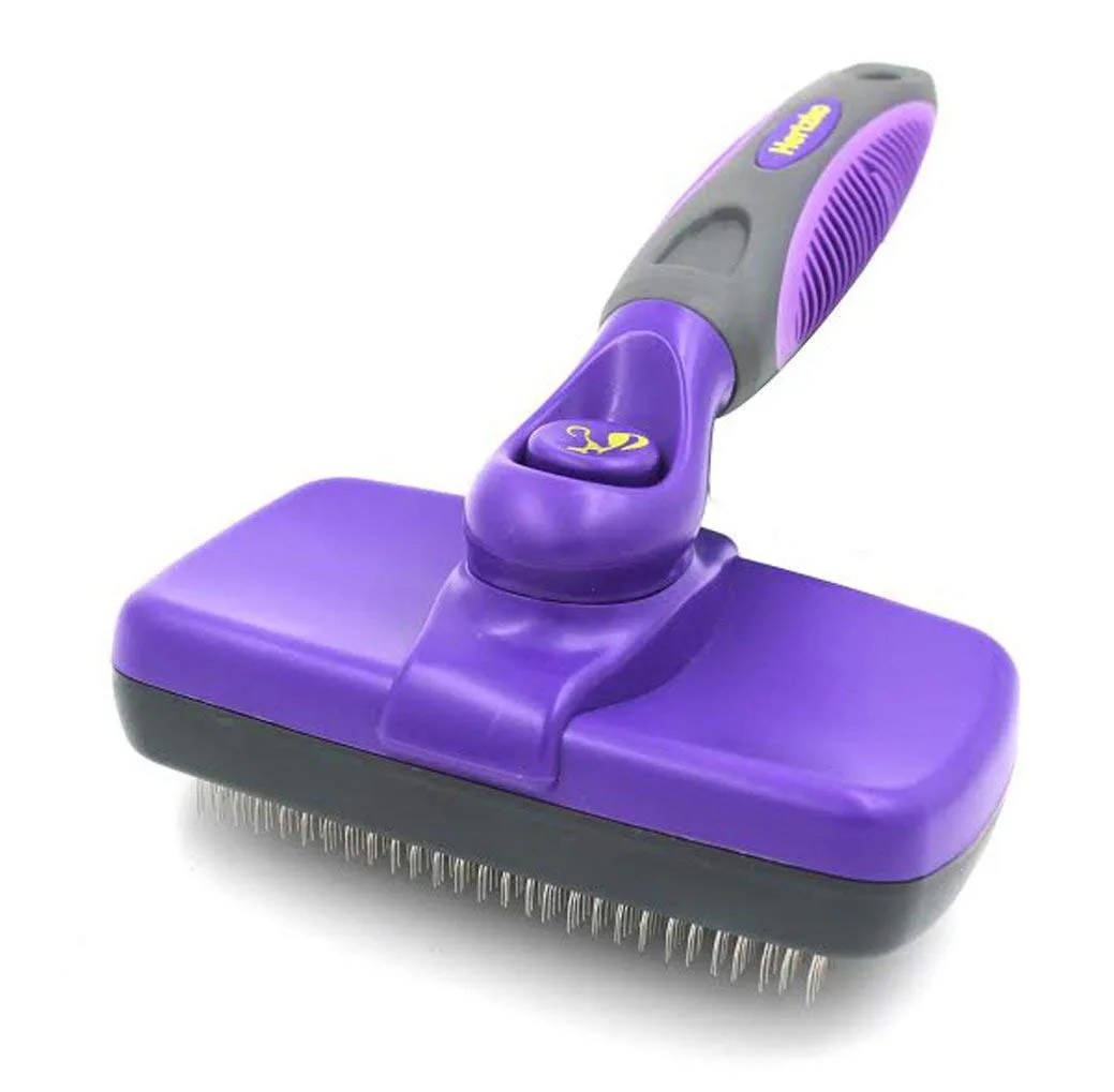 The 5 Best Brushes For ShortHair Dogs