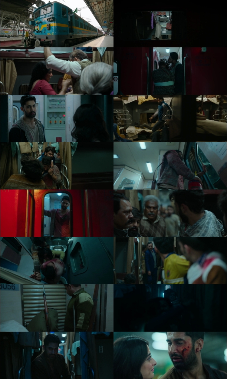 Kill 2024 Hindi Movie DD5.1 4k 1080p 720p 480p HDRip x264 ESubs Downloadhub